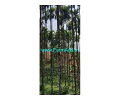 6 acres agriculture land sale near Belthangady