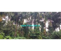1 Acre Agri land for sale in Adyanadka
