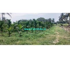 5 acre Farm Land for Sale near Mysore