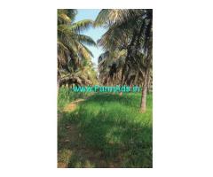 6.32 Acres Coconut plantation for sale near Hiriyur V.V. Sagar Dam Road