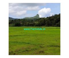 2 acre plain land good hill view place for sale in Mudigere