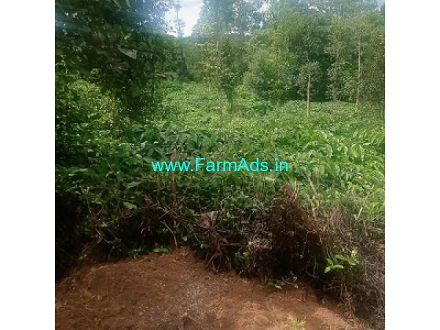 1 acre coffee land for sale in Mudigere