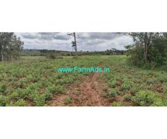 3 Acres Farm Land for Sale near Mysore