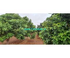 82 Acres Farm land Sale Near Somalapuram