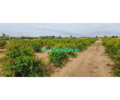 82 Acres Farm land Sale Near Somalapuram