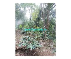 Flowing River touch 3 acre coffee estate for sale in Somwarpet