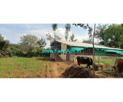 2.75 Acres Farm for Sale near Mandya