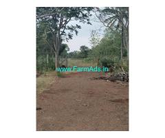 13 gunte conversion farm land for sale in Belavadi