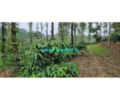 8 acre 30 Gunta NH attached coffee estate for sale in Sakleshpur