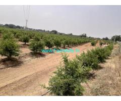 40 acres farm land for sale at Bagepalli main road