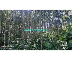 1 acre well maintained Coffee Plantation Sale at Aldur