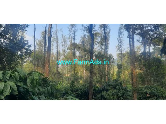 4 Acre Maintained Coffee Estate For Sale In Madikeri