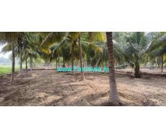 1 acre coconut farm sale near Pollachi