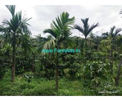 10 Acre Agriculture Land for sale in Mudigere