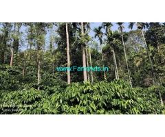 5 acre Well maintained plantation sale in Mudigere