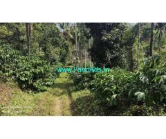 5 acre Well maintained plantation sale in Mudigere