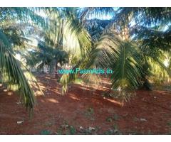 1 acre coconut farm land for sale near Mysore