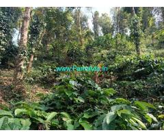 10 acre coffee Estate for sale in Mudigere