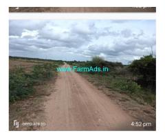 31 gunta Agriculture Land for Sale near Hiriyur