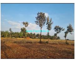 2.08 acres Farm land for Sale In Turuvekere