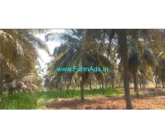 7 acres coconuts farm land for Sale in Hiriyur