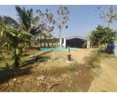 2.35 acres ready Areca farm for sale near Nelamangala