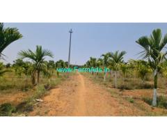 5 acre Arecanut Farm Land for Sale near Kunigal