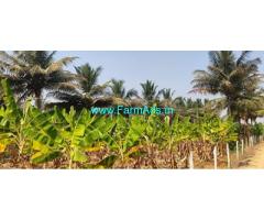 2 Acres Coconut farm for Sale near Nanjangud