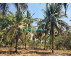 1.26 Acres Coconut Farm Land for Sale near Kunigal