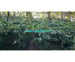 6 acre well maintained Robusta coffee estate for sale in Hanbal