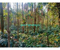 2.5 acre coffee plantation for sale in Mudigere