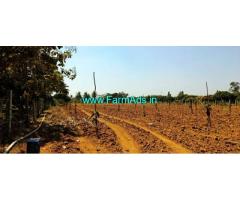 1.5 Acre Mango Farm for Sale near Mulabagal Srinivasapura NH