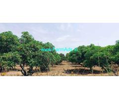 3 acre 20 gunta farm land for sale near Kolar Srinivaspura highway