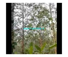 4 acre coffee estate for sale 13 km from Belur city