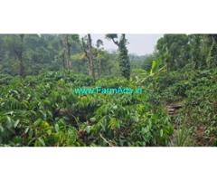 8 acres well maintained coffee estate for sale in Sakleshpur