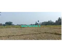 1 Acre agriculture Land for Sale near Maddur