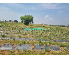 3 acre 20 guntas Farm land for Sale near Yediyur