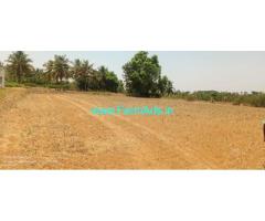 30 gunta Agriculture land for sale near Nelmangala