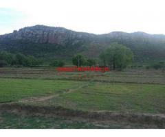 13 Acres Agriculture land for sale in Srikalahasti Pichatur bypass