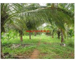 6 Acres Farm Land with Shed and Infrastucture for sale in Tiptur