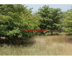 10.90 Acres Farm Land for sale in Sanganakallu village - Bellary