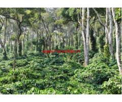 10 acres coffee plantation for sale near Somwarpet, Kodagu.