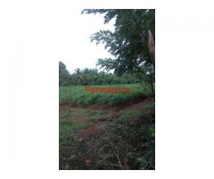 10 Acres of well irrigated land for sale in Ulavi - Sagara - Shimoga