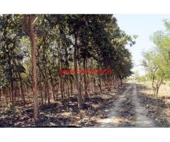 500 acers developed agricultural land for sale on Vijayawava