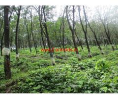 10 Acres of fully cultivated, fertile land for sale in Kanhangad