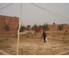 east facing plot for sale in dhaliwal colony on sirsa bhadra state highway