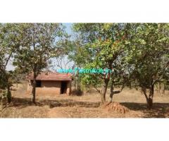 2 Acres Cashew Plantation for sale in Khanapur - Belgavi