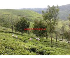Rajarajeshwari Tea Estate for immediate sale in Ooty