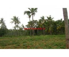 3.5 Acres Farm land for sale 3 KMS from Chikmagalur