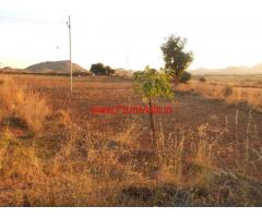 20 Acres farmland for sale at Pavagad